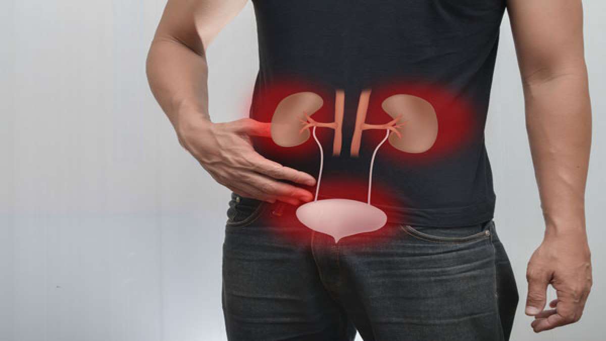 14 Herbal Remedies For Urinary Problems