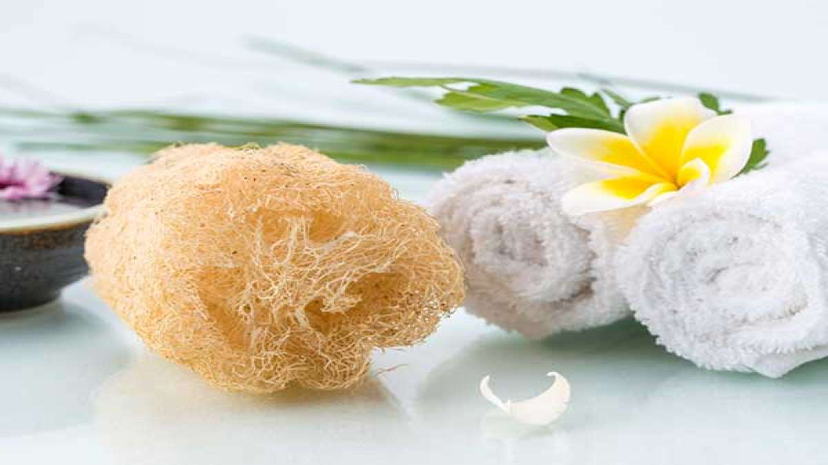 Why Loofahs Are Bad For Your Skin