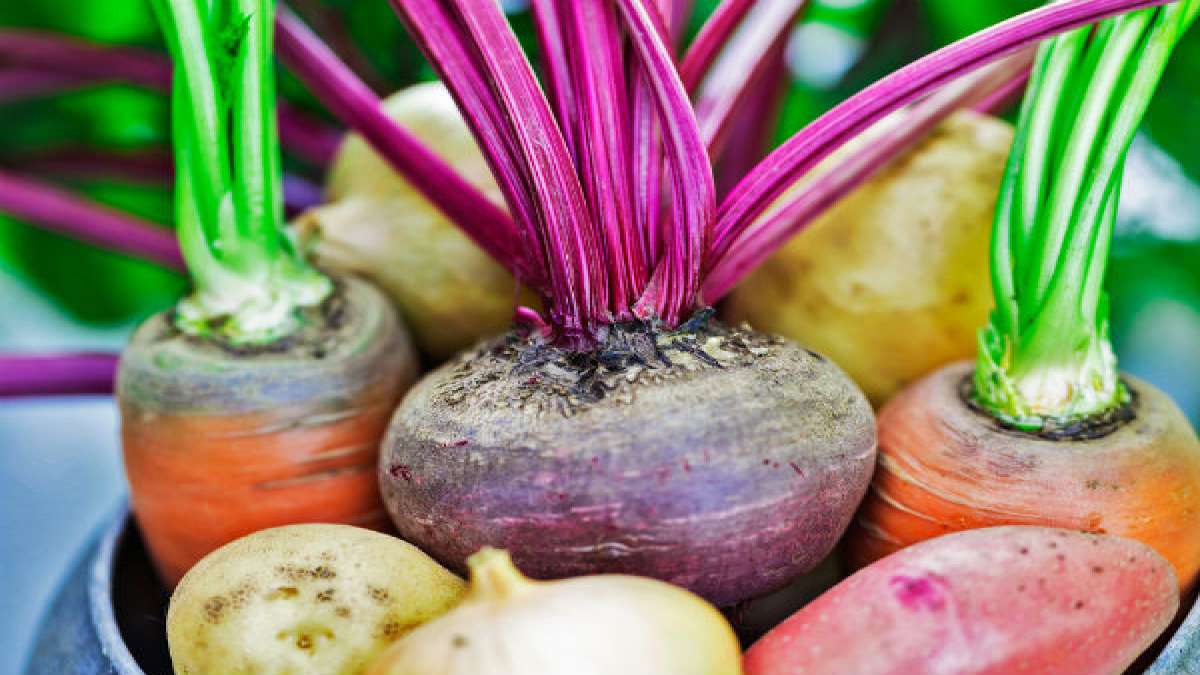 8 Roots You Should Eat Everyday