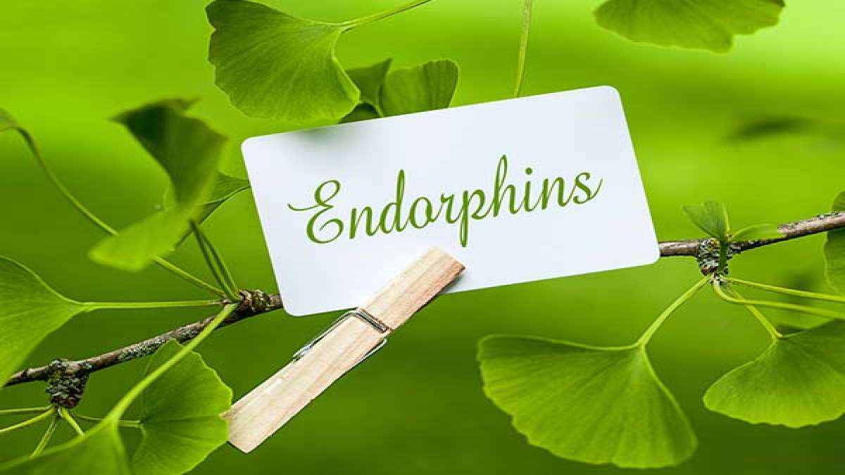 Ways To Naturally Increase Endorphins