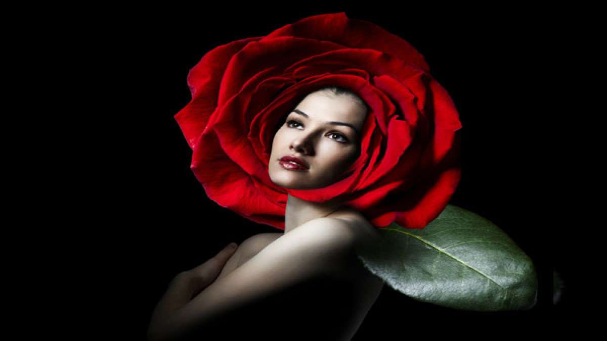 How To Use Rose On Your Face And What Are Its Uses For Beauty