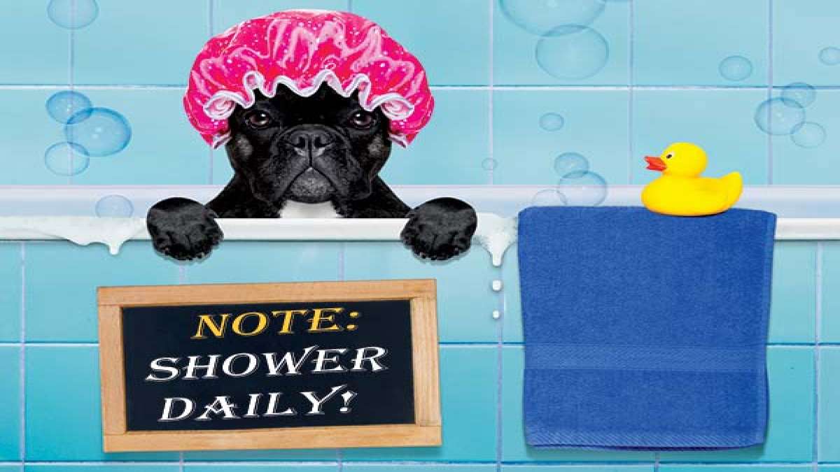 Why Is It Important To Shower Every Day?
