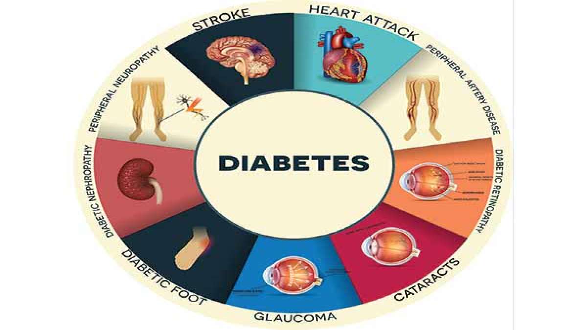 World Health Day 2016: What Organs Does Type 2 Diabetes Affect ...