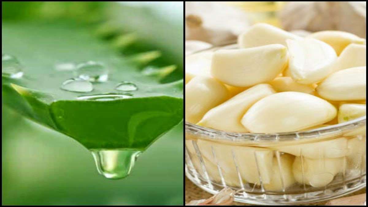 What Happens When You Drink Aloe Vera Juice With Garlic?