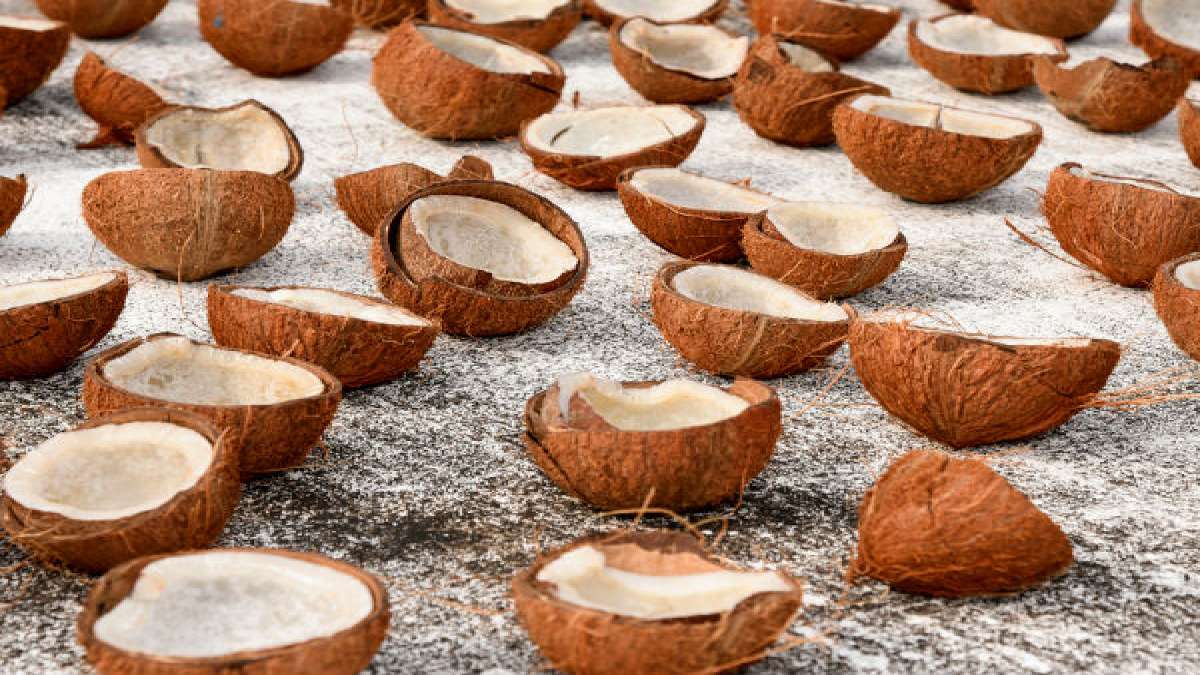 Is Dried Coconut Nutritious?