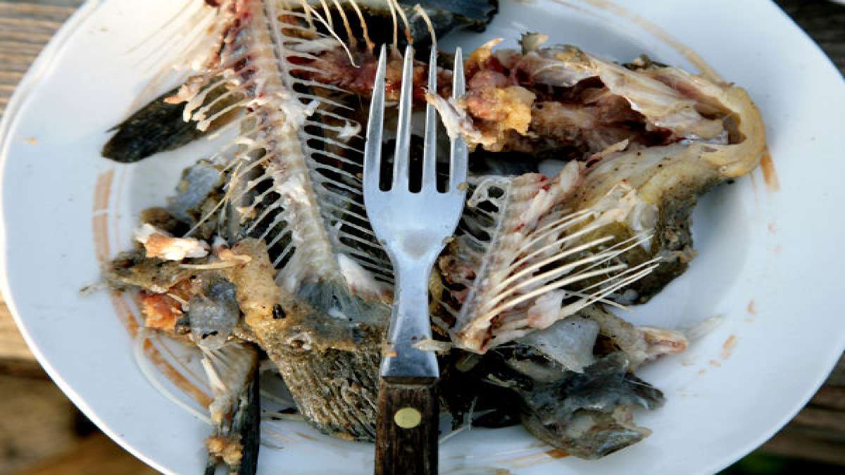 Will You Die If You Swallow A Fish Bone?