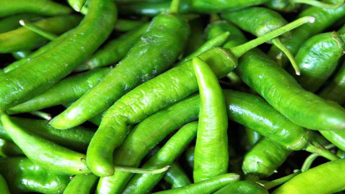 Chillies Can Help You With Weight Loss?