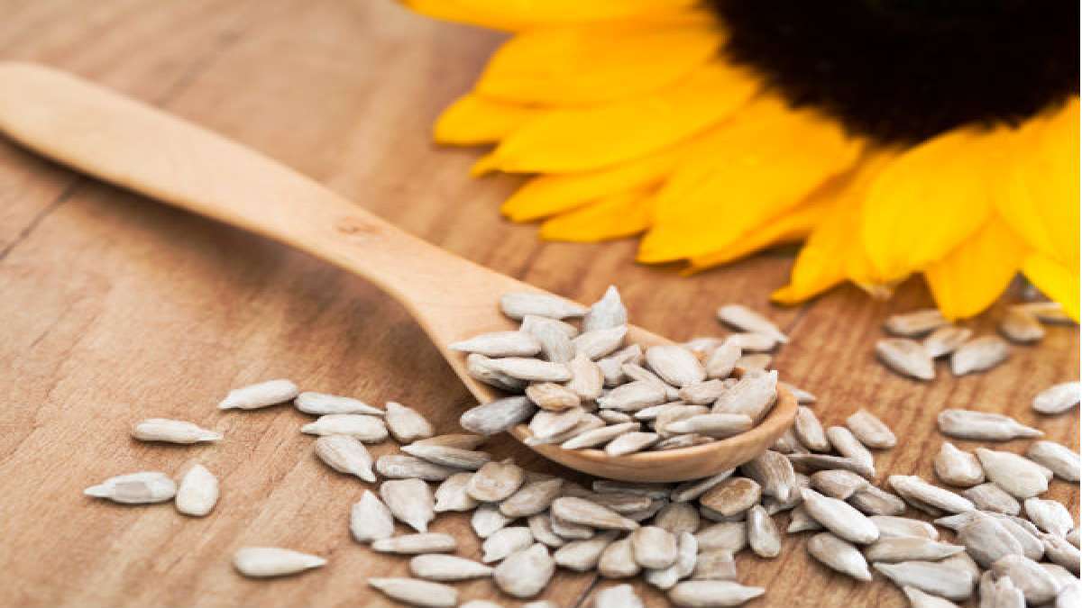 Liver Carcinogen Traced To Sunflower Seeds Says Study