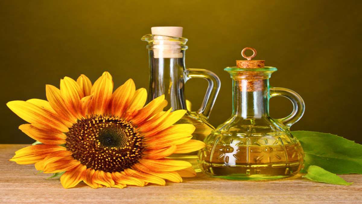 Sunflower Oil Recipes For Skin Care Routine