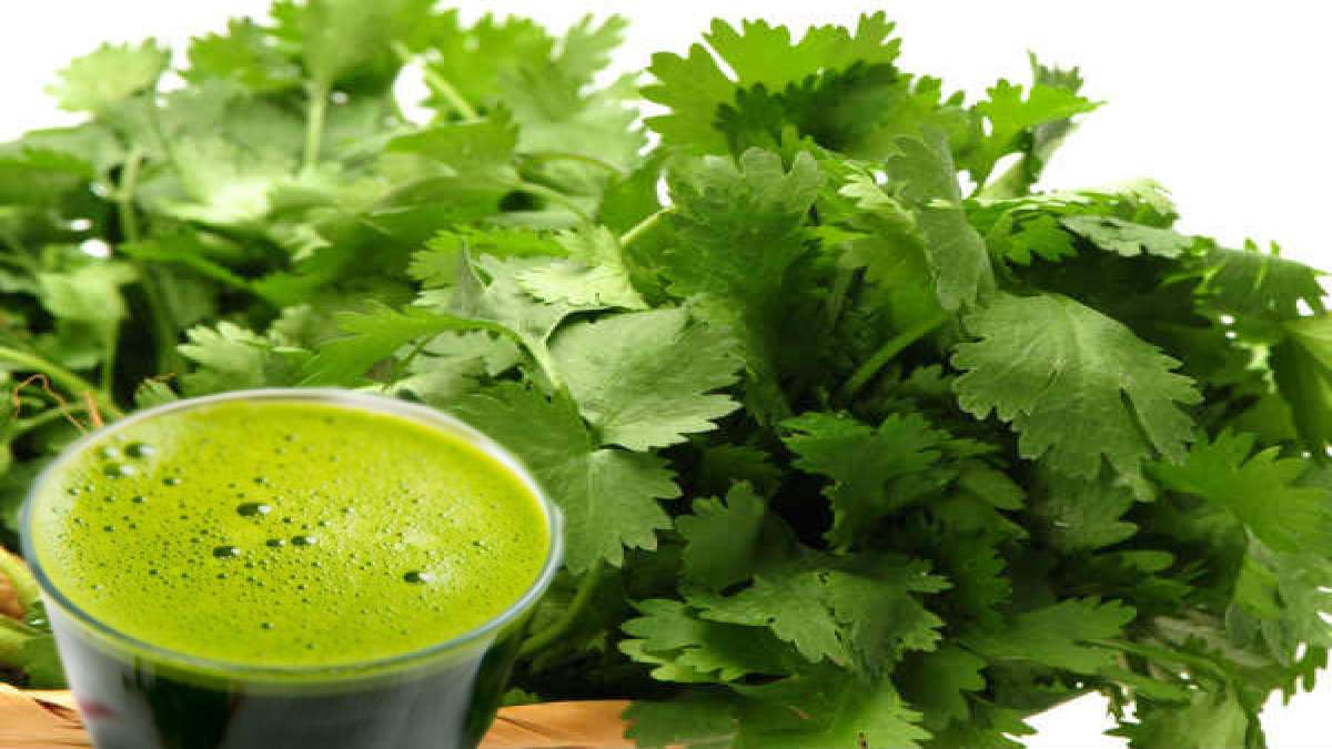 Add A Glass of Coriander Juice To Your Daily Diet & See What Happens