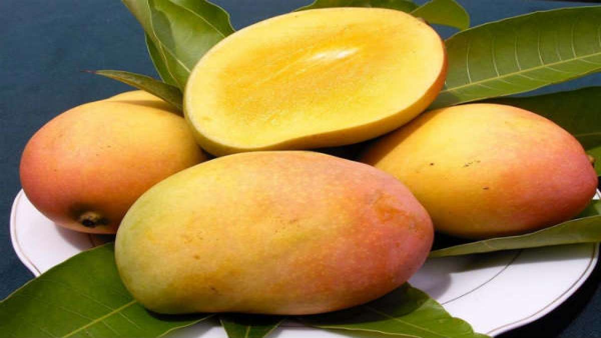 What Happens If You Eat Too Many Mangoes?