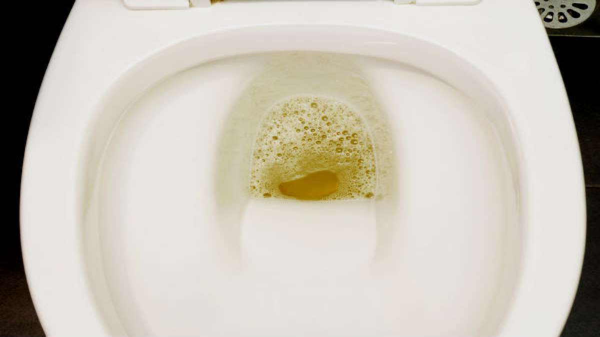 Reasons For Bubbles In Urine