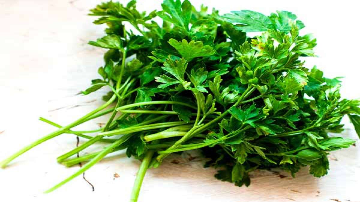 Best Ways To Use Parsley To Dissolve Kidney Stones