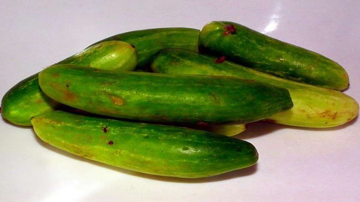 Health Benefits Of Gherkin
