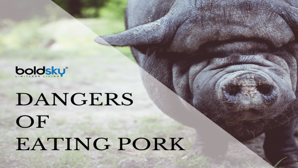 Dangerous Pig! 5 Health Risks of Eating Pork