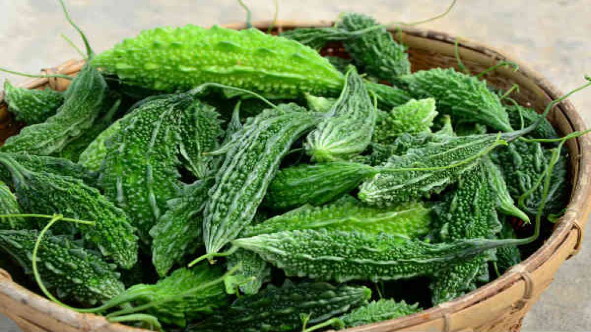 From Weight Loss To Soothing Acne, Here Are The Health Benefits Of Bitter Melon