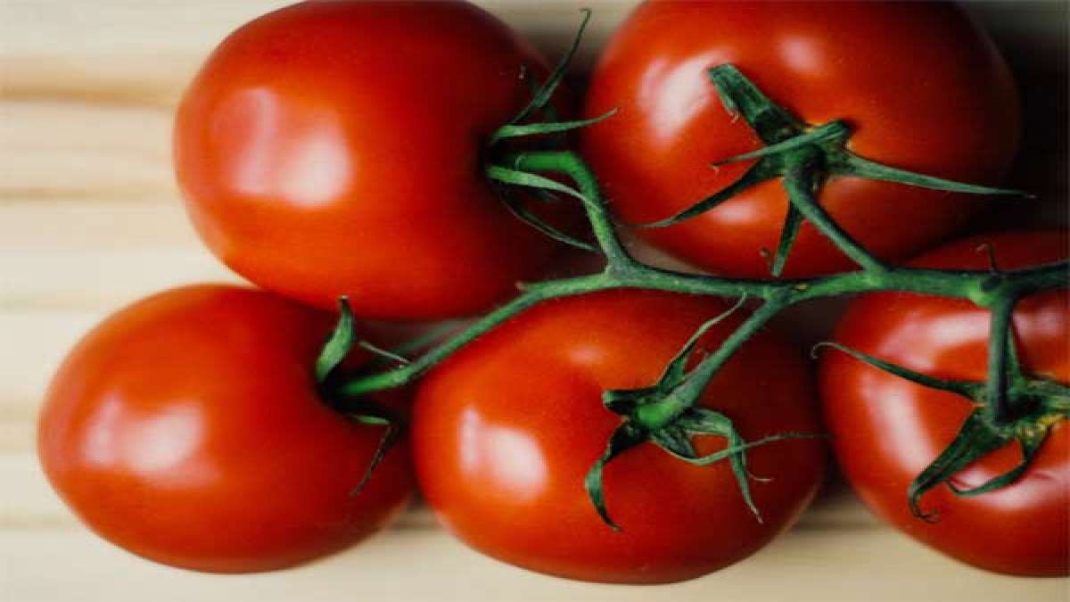 Are Tomatoes Fattening For You?