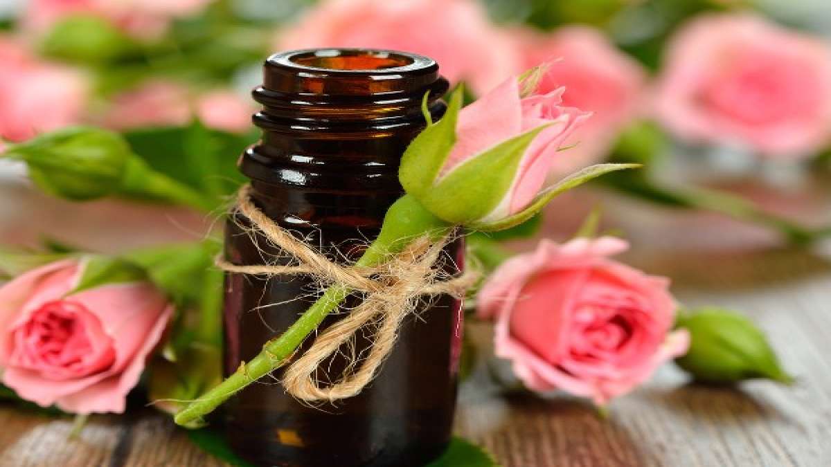Does Rosehip Oil Help In Getting Glowing Skin?