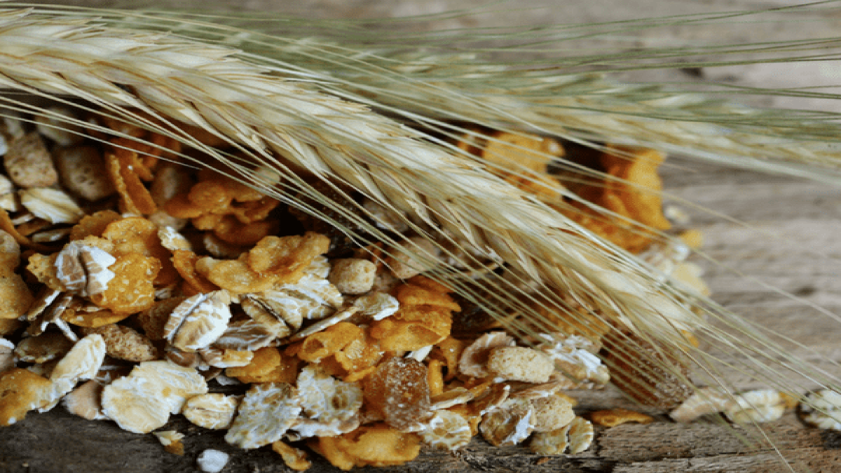 Muesli Or Oats Which Is Better For Weight Loss?