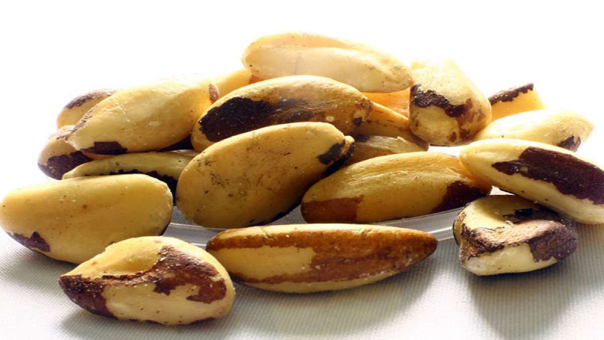 Brazil Nuts Nutrition Facts and Health Benefits