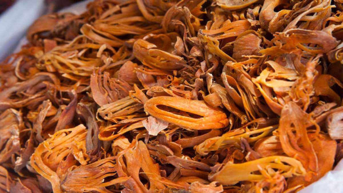 14 Fascinating Benefits Of Mace Spice (Javitri)