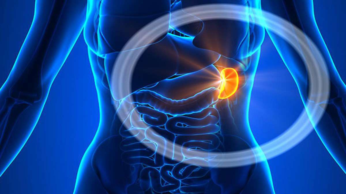 Qi Deficiency Causes, Symptoms & Treatment