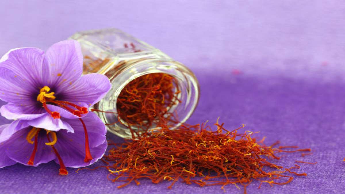Saffron (Kesar) During Pregnancy All That You Should Know