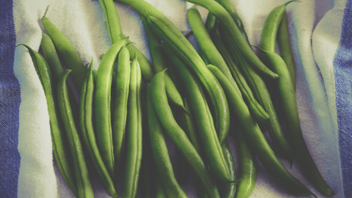 Green Beans Health Benefits, Risks, & Recipes