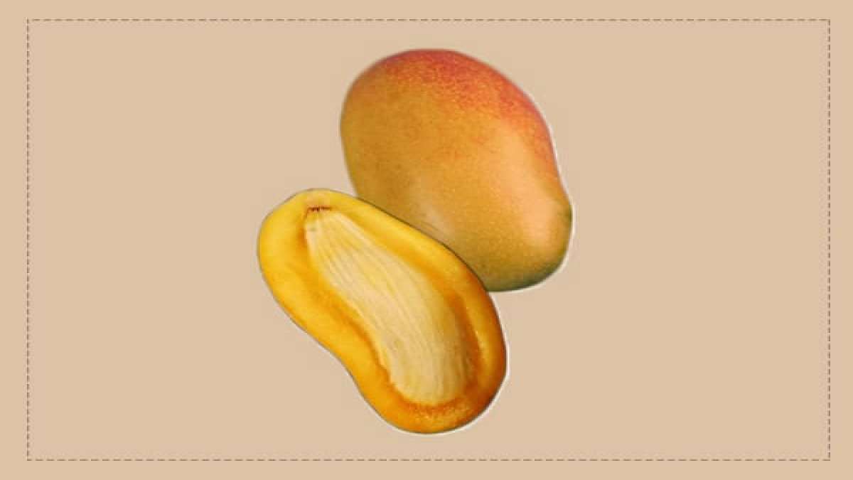 8 Surprising Health Benefits Of Mango Seeds