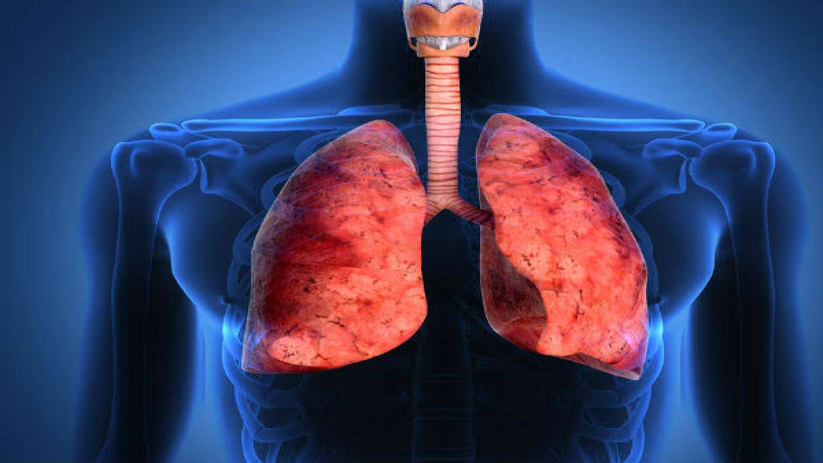 Lung Diseases Caused By Breathing In Polluted Air