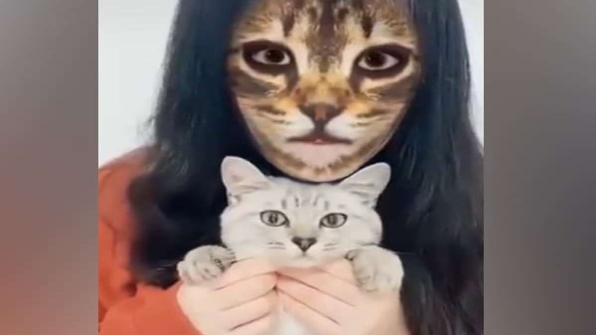 Viral Cats' Funny Reactions To CatFace Filter On Their Owners' Faces