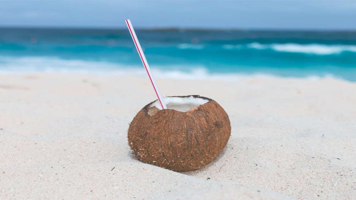 World Coconut Day 2020 Is Drinking Coconut Water Safe For Diabetics