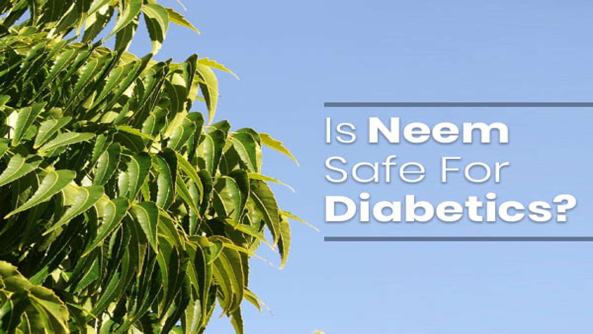 Neem For Diabetes Health Benefits Of The Wonder Herb To Reduce Blood Glucose