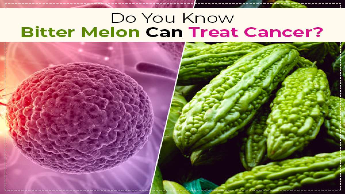 Bitter Melon Can Help Treat Cancer, As Per New Study