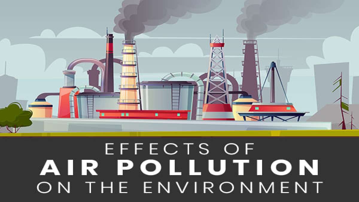 World Environment Day 2021 Harmful Effects Of Air Pollution On The