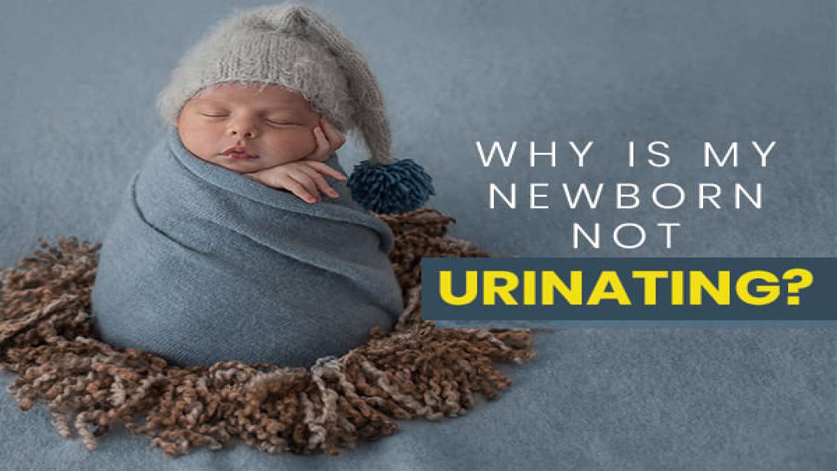Why Is My Newborn Not Urinating?