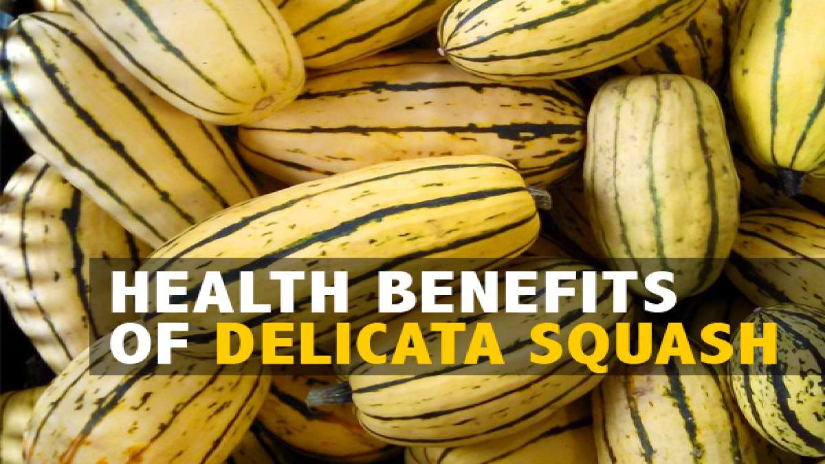 5 Interesting Health Benefits Of Delicata Squash