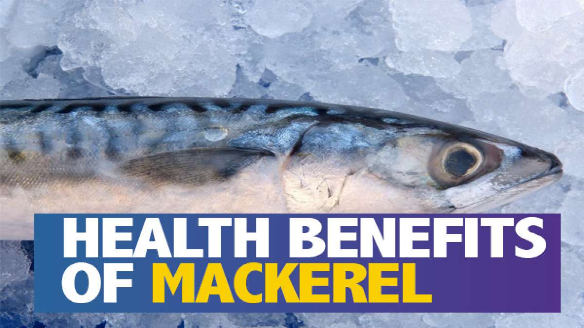Mackerel Nutritional Health Benefits, Risks And Recipes