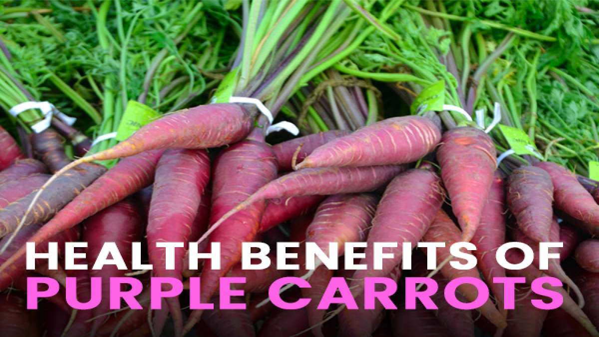 Purple Carrots Health Benefits, Uses And Recipe