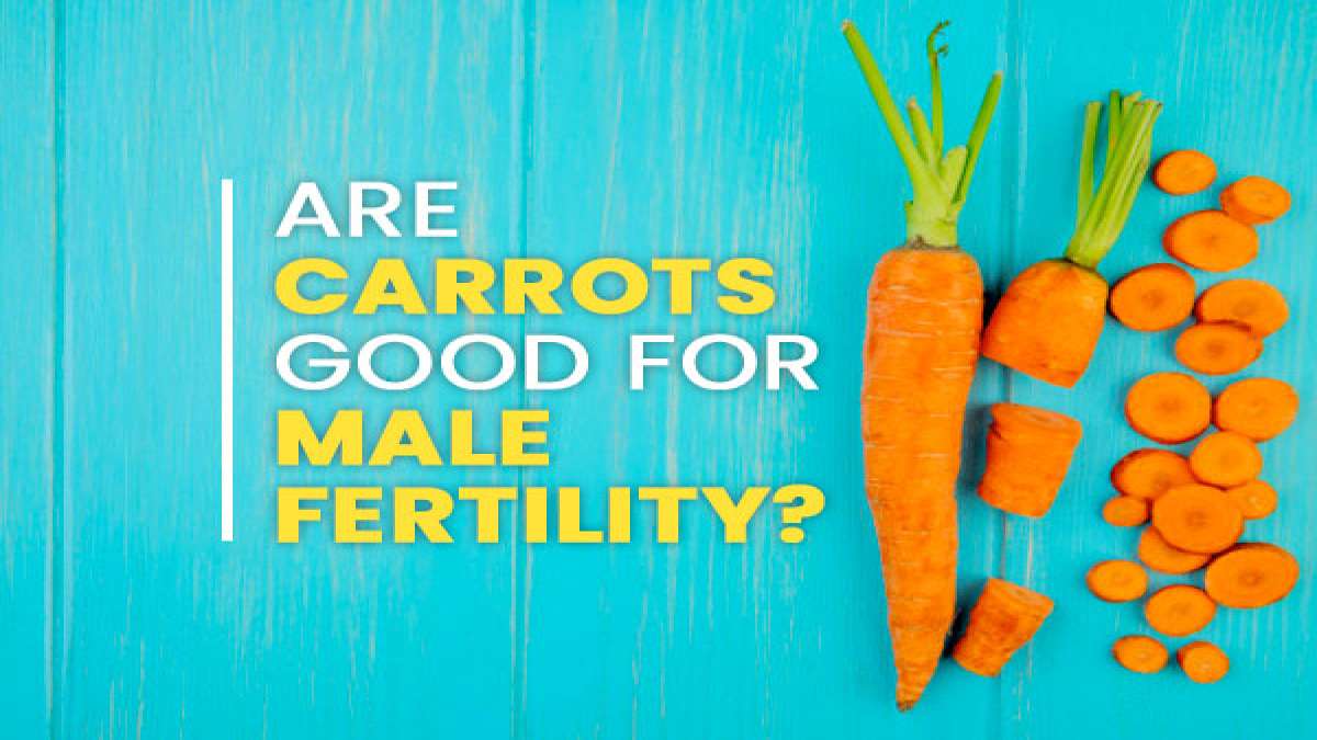 Are Carrots Good For Male Fertility?