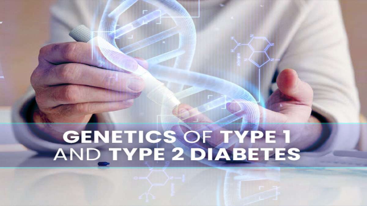 What Is Genetics Of Type 1 And Type 2 Diabetes And How To Prevent If It ...
