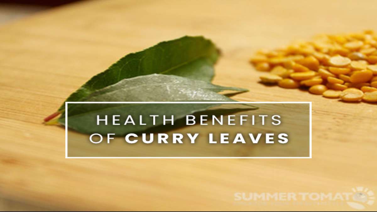 21 Amazing Health Benefits Of Curry Leaves Weight Loss, Infections