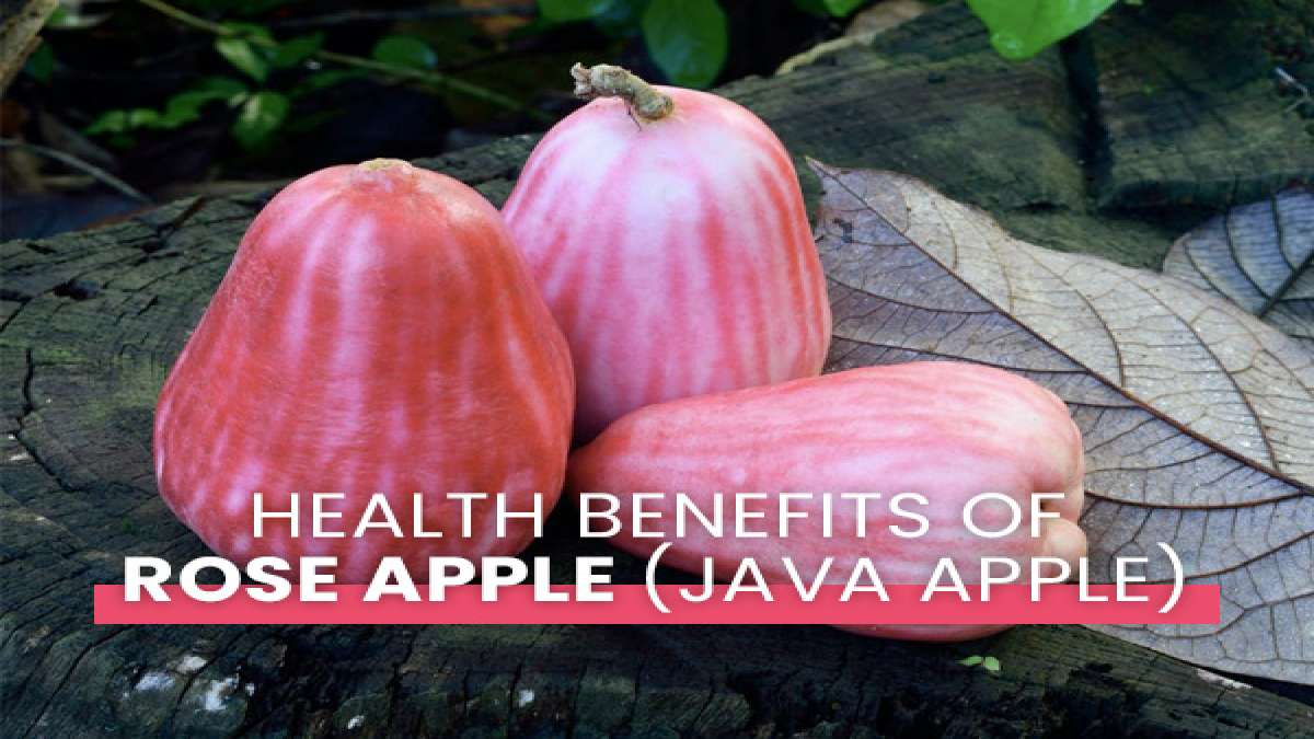 What Are The Amazing Health Benefits Of Rose Apple (Java Apple