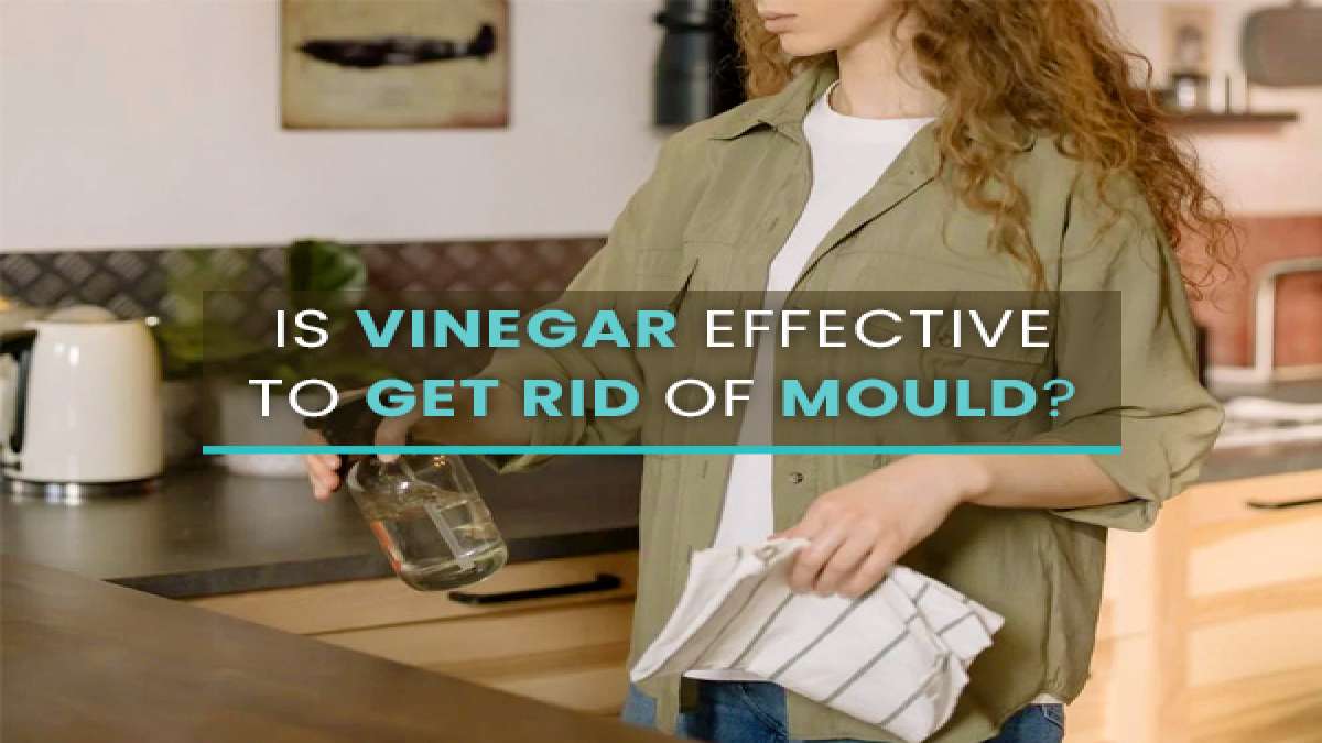Is Vinegar Effective To Get Rid Of Mould?
