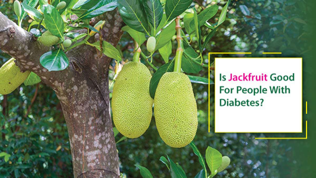 World Diabetes Day 2021 Is Jackfruit Good For People With Diabetes