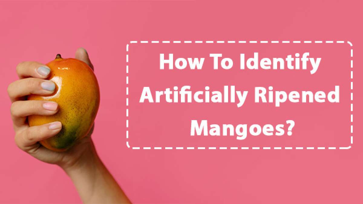 How To Identify Artificially Ripened Mangoes? Types Of Induced Ripening