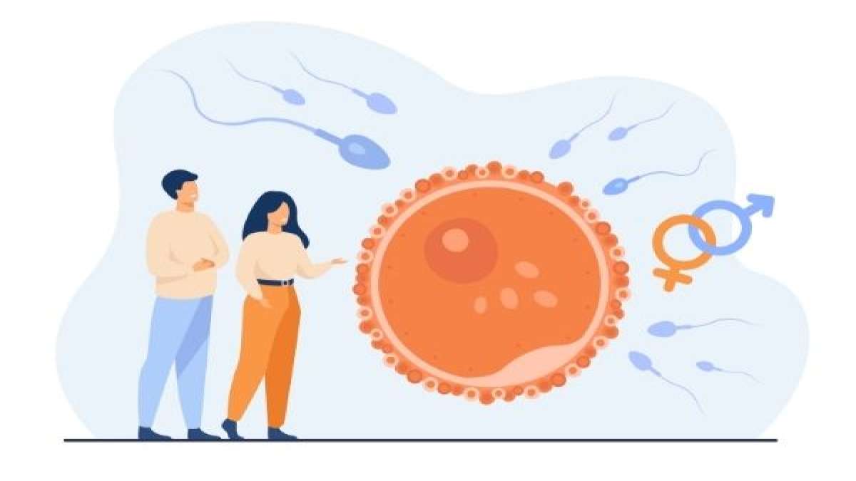 Expert Article: How IVF Can Help Overcome Necrozoospermia - Boldsky.com