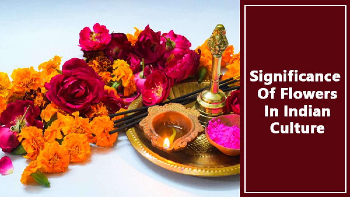 Significance Of Flowers In Indian Culture And Pooja Rituals What Makes Them So Important