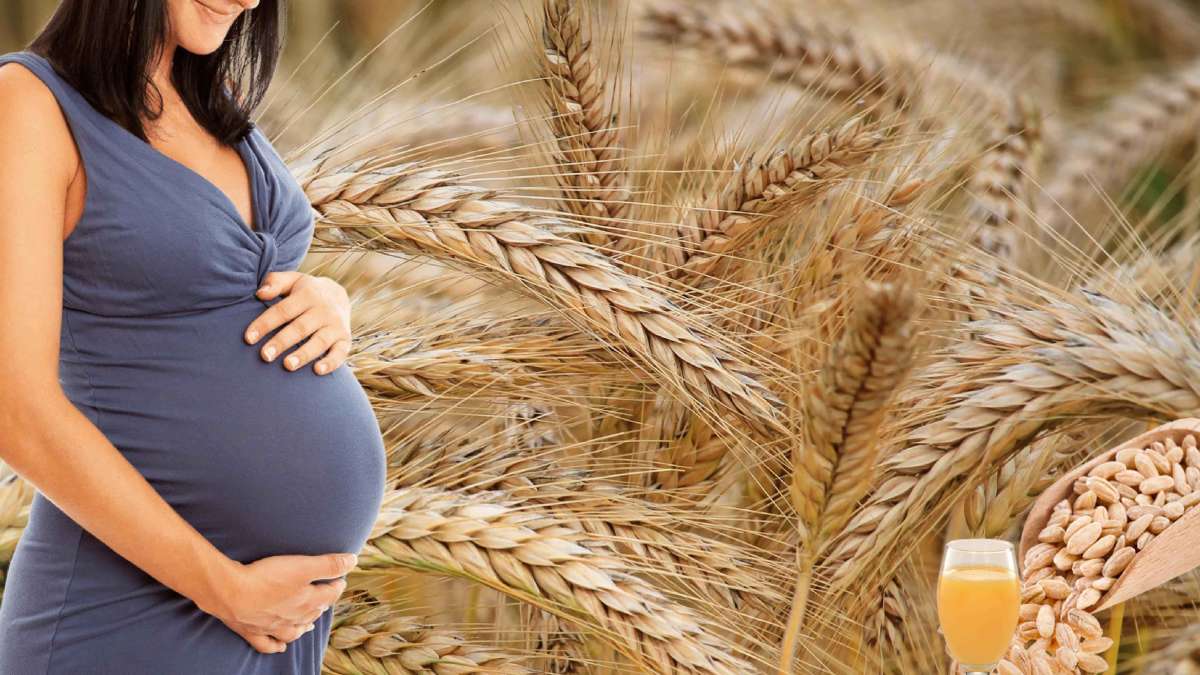 Barley Water During Pregnancy Benefits, Side Effects And How To Make