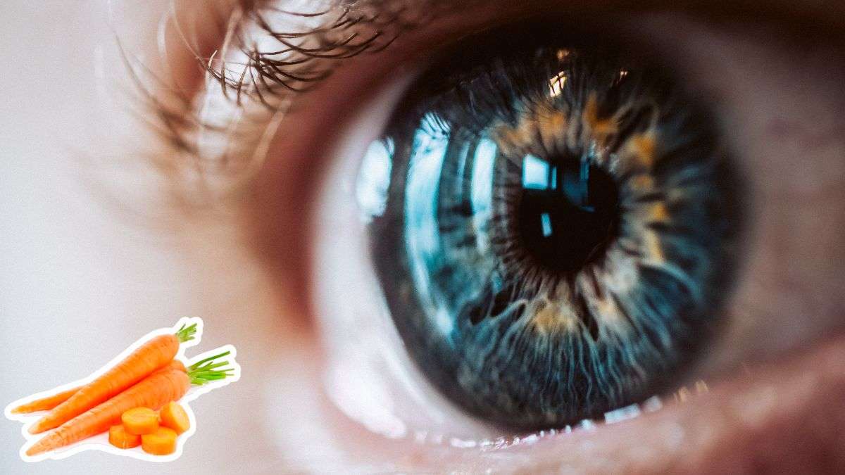 Myths vs Facts Can Carrots Give You Night Vision?